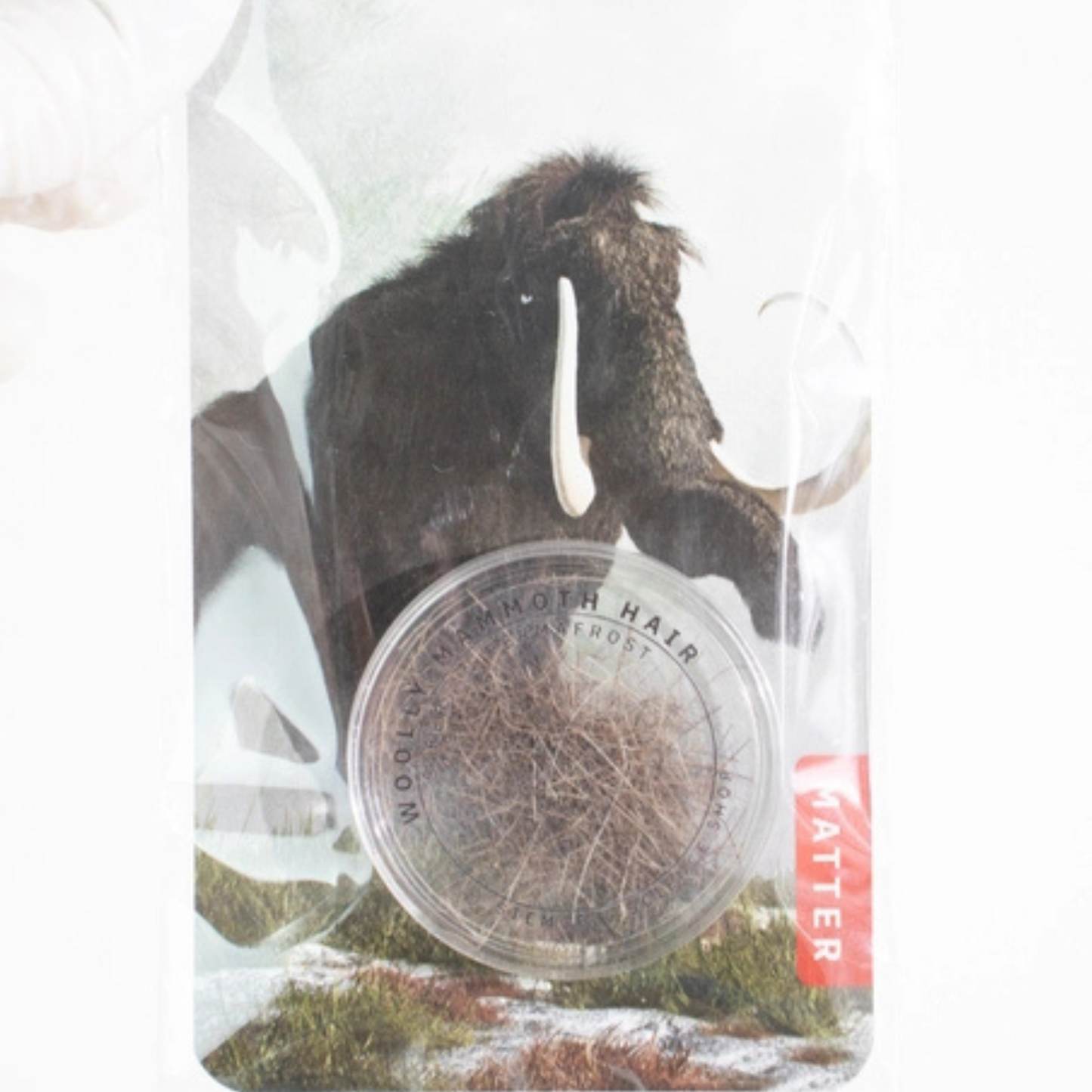 Fossil - Mammuthår