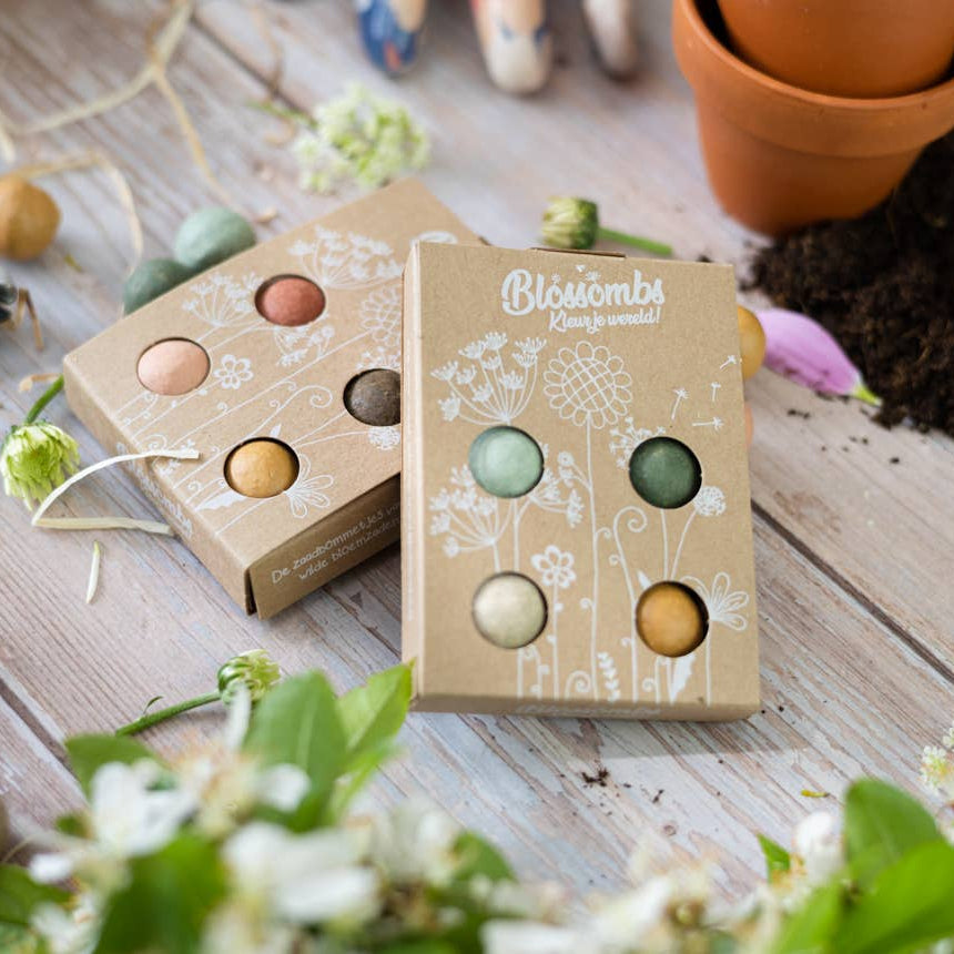 Pollinatörsbomber – Blossombs blomsterbomber (1-, 2- eller 4-pack)