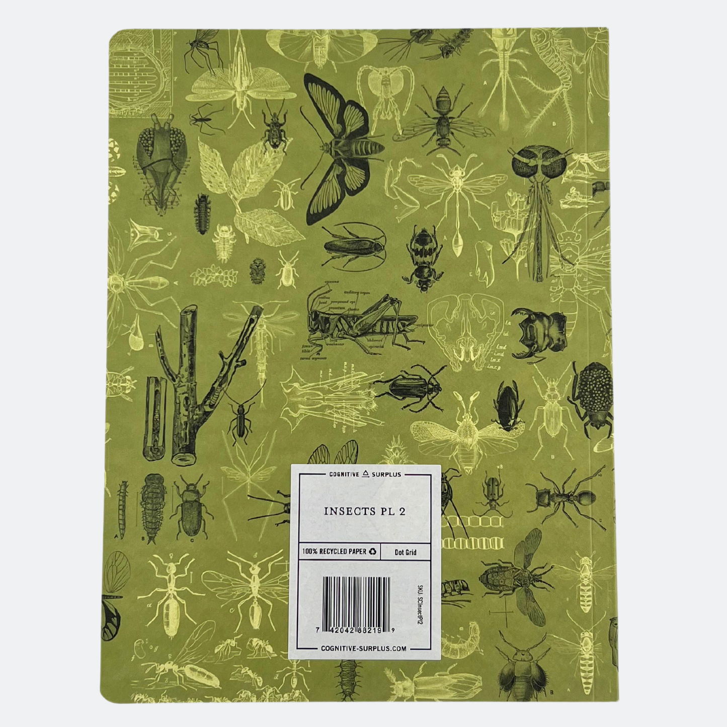 Baksida av anteckningsboken Insekter med ljusgrön bakgrund och detaljerade illustrationer av insekter, entomologiska verktyg och växtdetaljer.