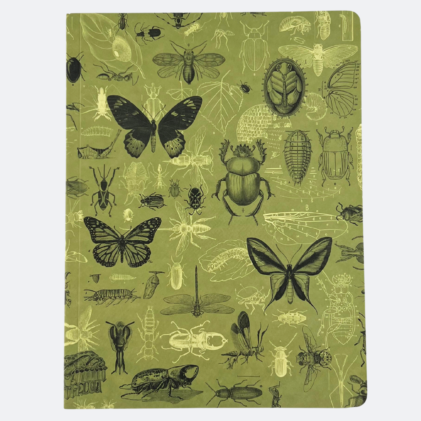 Framsida av anteckningsboken Insekter med grön bakgrund och detaljerade illustrationer av olika insekter som fjärilar, skalbaggar och bin.