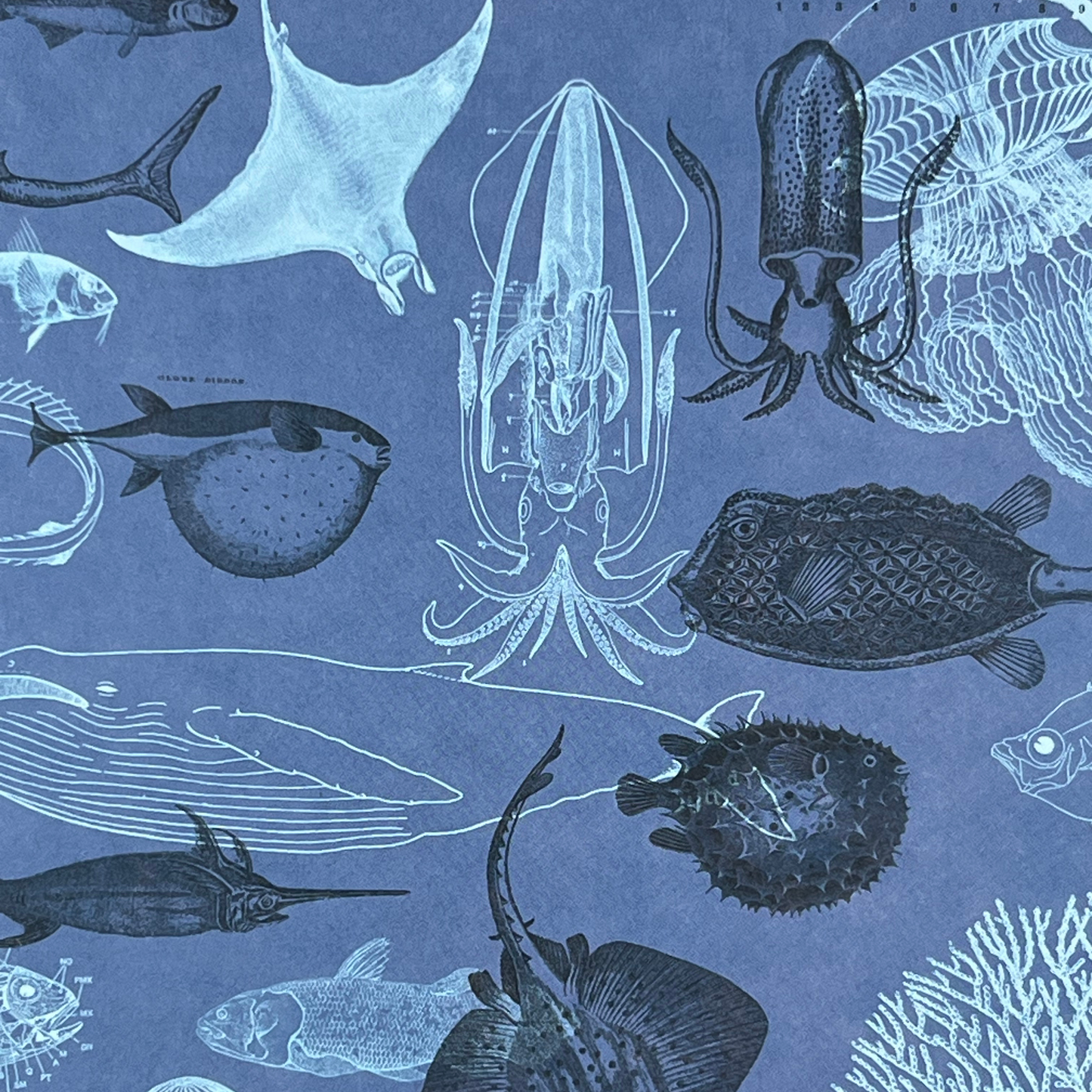 Närbild av framsidan på anteckningsboken Marina Djur med vita illustrationer av havsdjur som rockor, bläckfiskar och fiskar mot blå bakgrund.