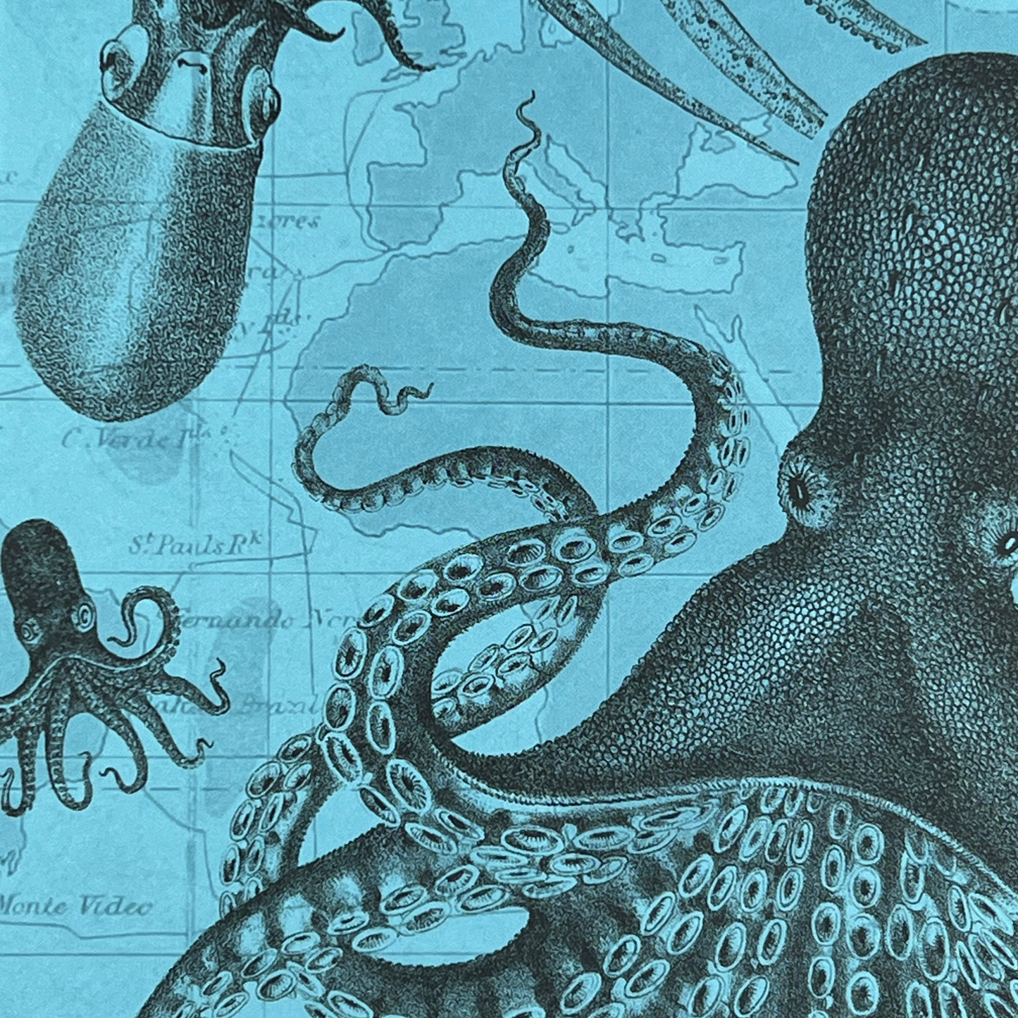 Närbild av framsidan på anteckningsboken Marina Djur med detaljerad illustration av bläckfiskar mot blå bakgrund.