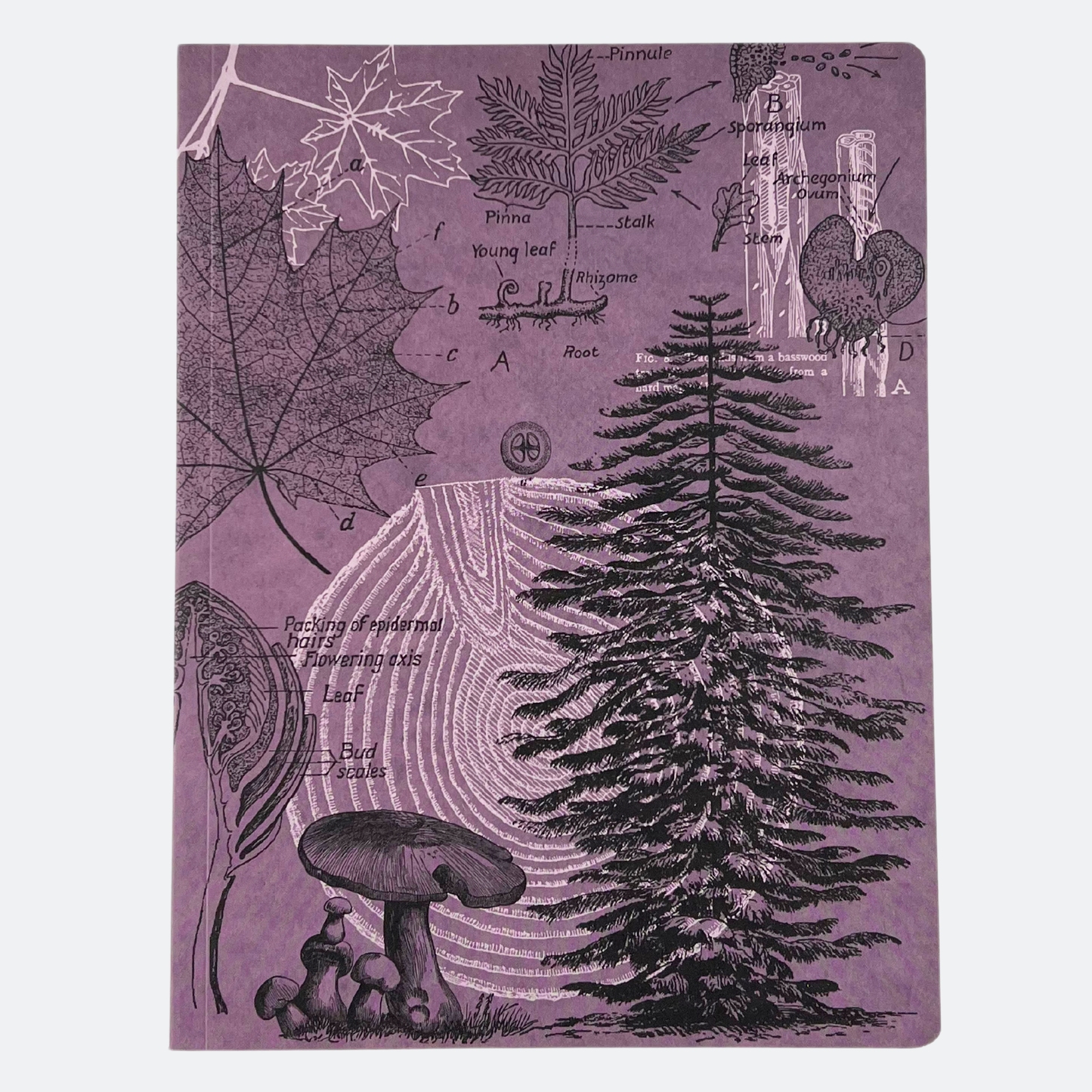 Lilafärgad anteckningsbok med illustrationer av träd, löv och svampar – inspirerad av skogens magi i skymningen, tryckt på återvunnet papper med miljövänligt bläck.
