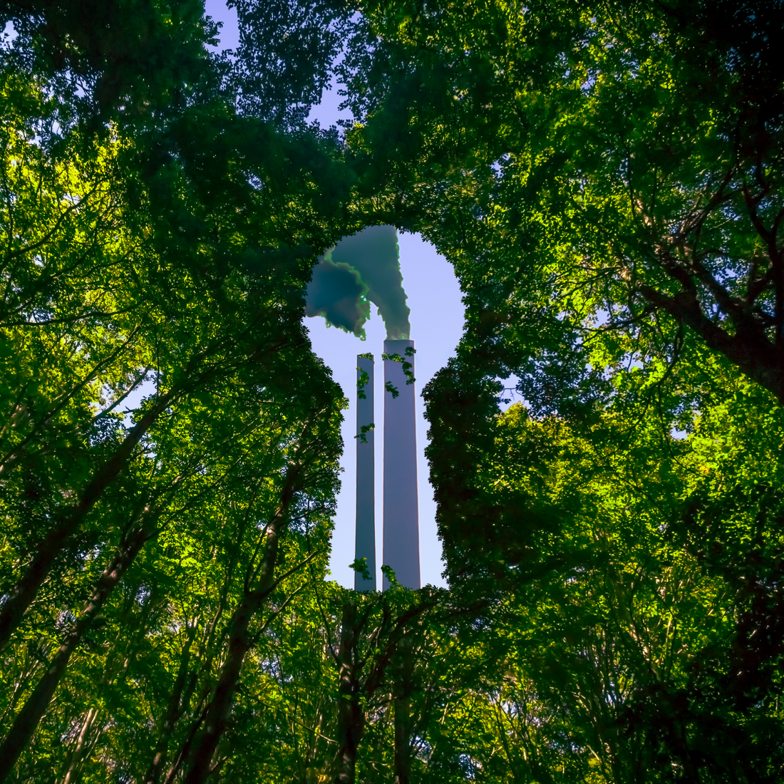 Greenwashing: What It Is, and How to Spot It