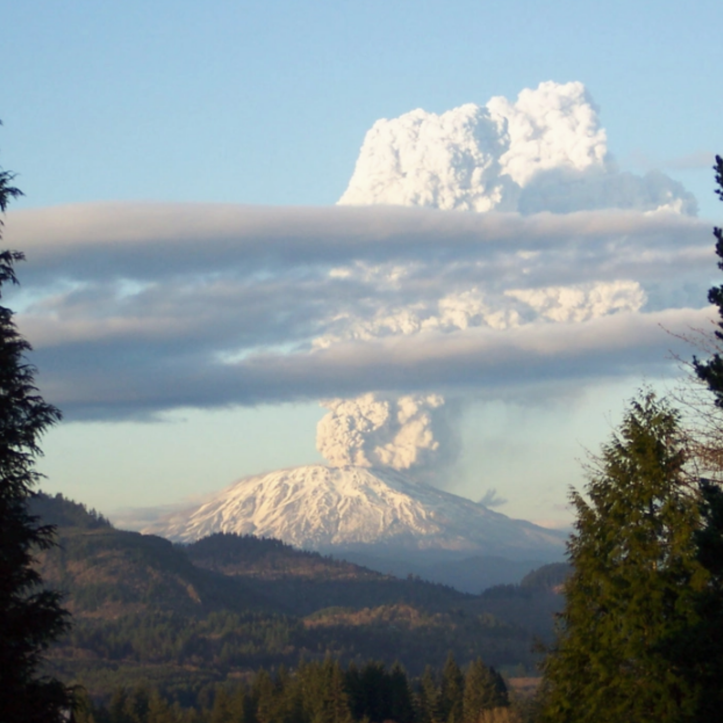 Vulkanisk Aska – Mount St. Helens 1980