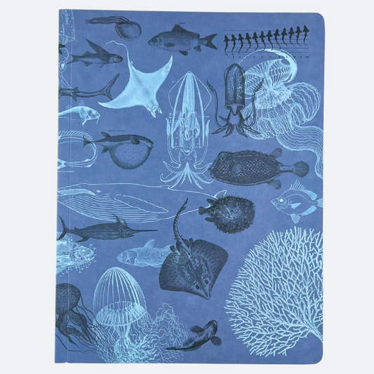 Notebook - Marine Animals - Lined paper