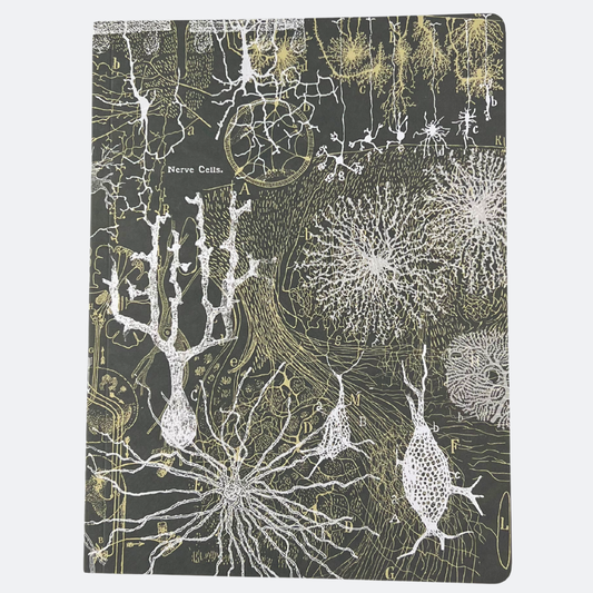 Notebook - Nerve cells - Lined paper