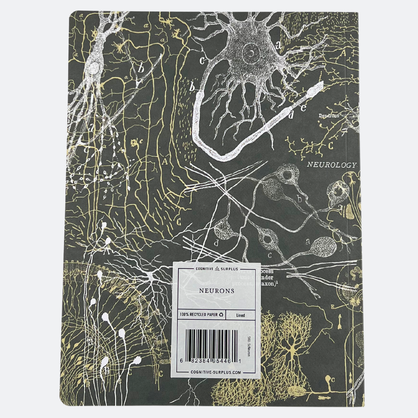 Notebook - Nerve cells - Lined paper