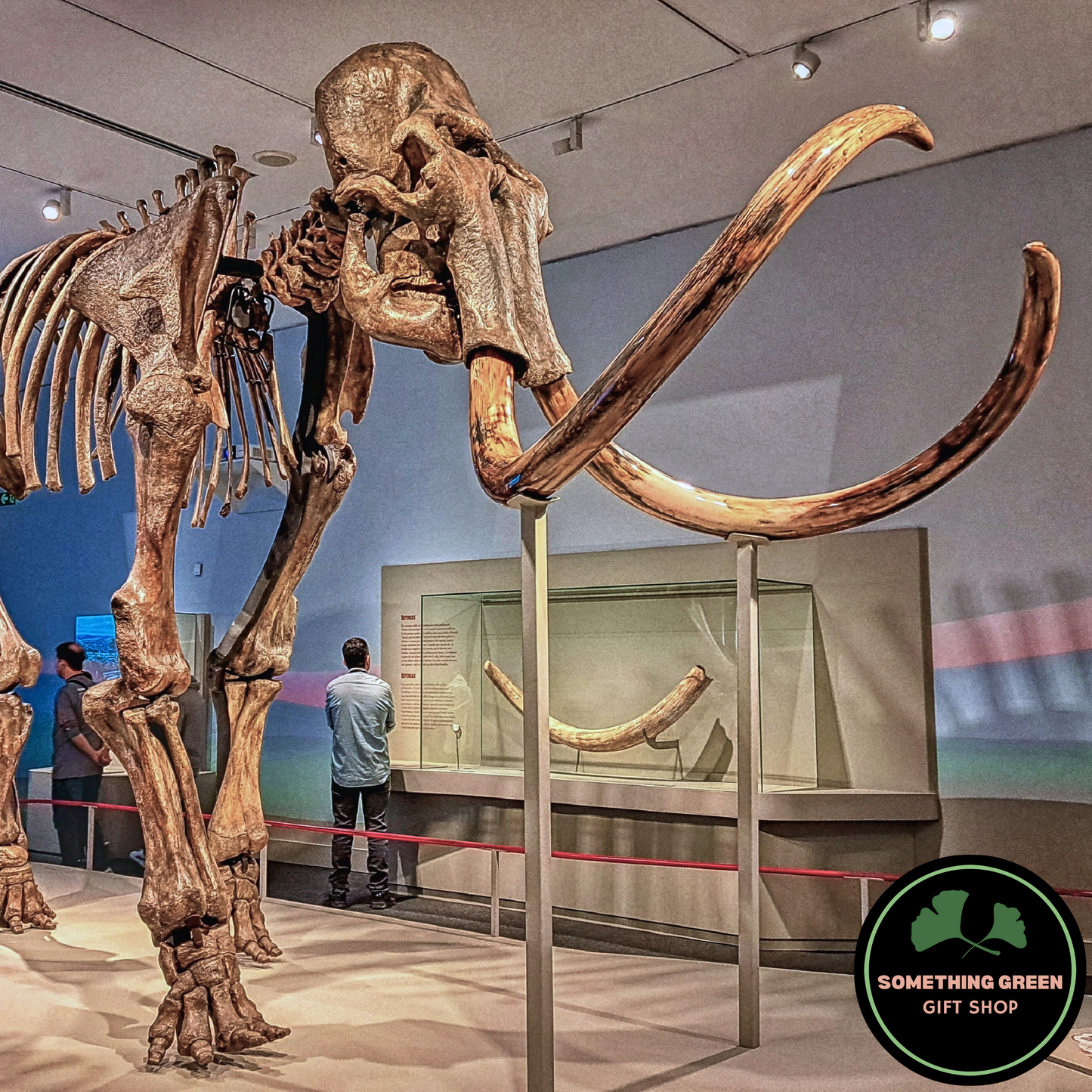 Fossil - Mammuthår