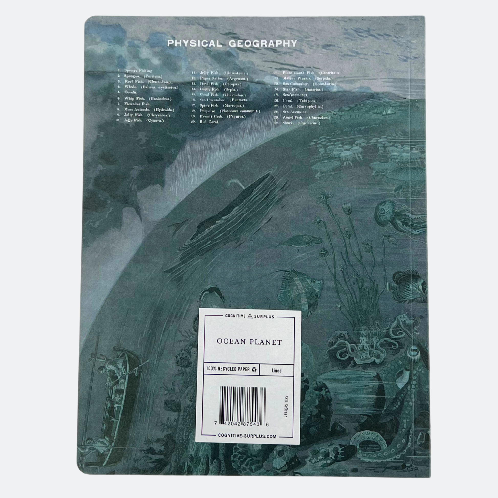 Baksida av anteckningsboken Havsplanet med texten Physical Geography och översikt av marina arter.