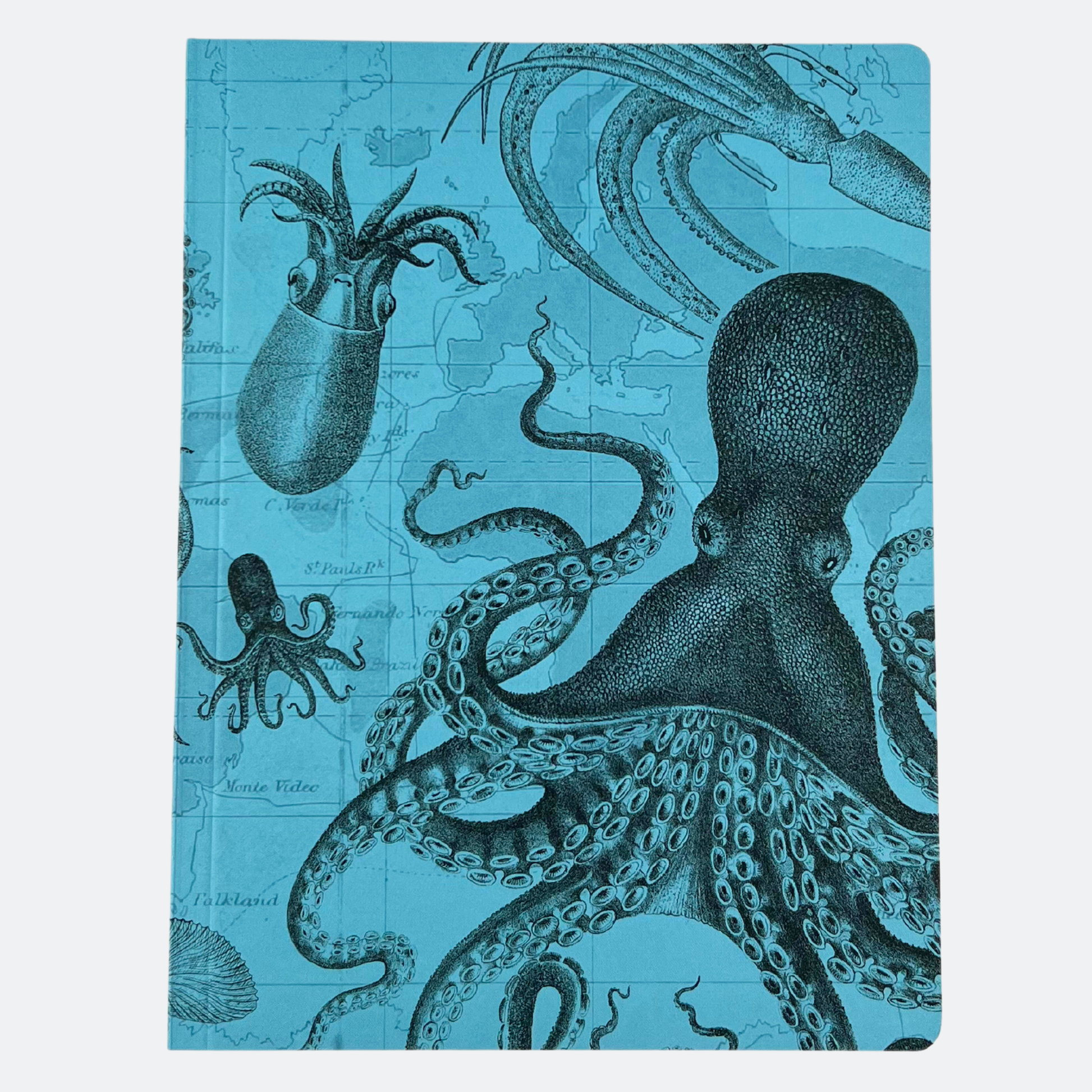 Framsida av anteckningsboken HMS Challenger & Bläckfiskar med turkos bakgrund och detaljerade illustrationer av bläckfiskar i olika storlekar och positioner.