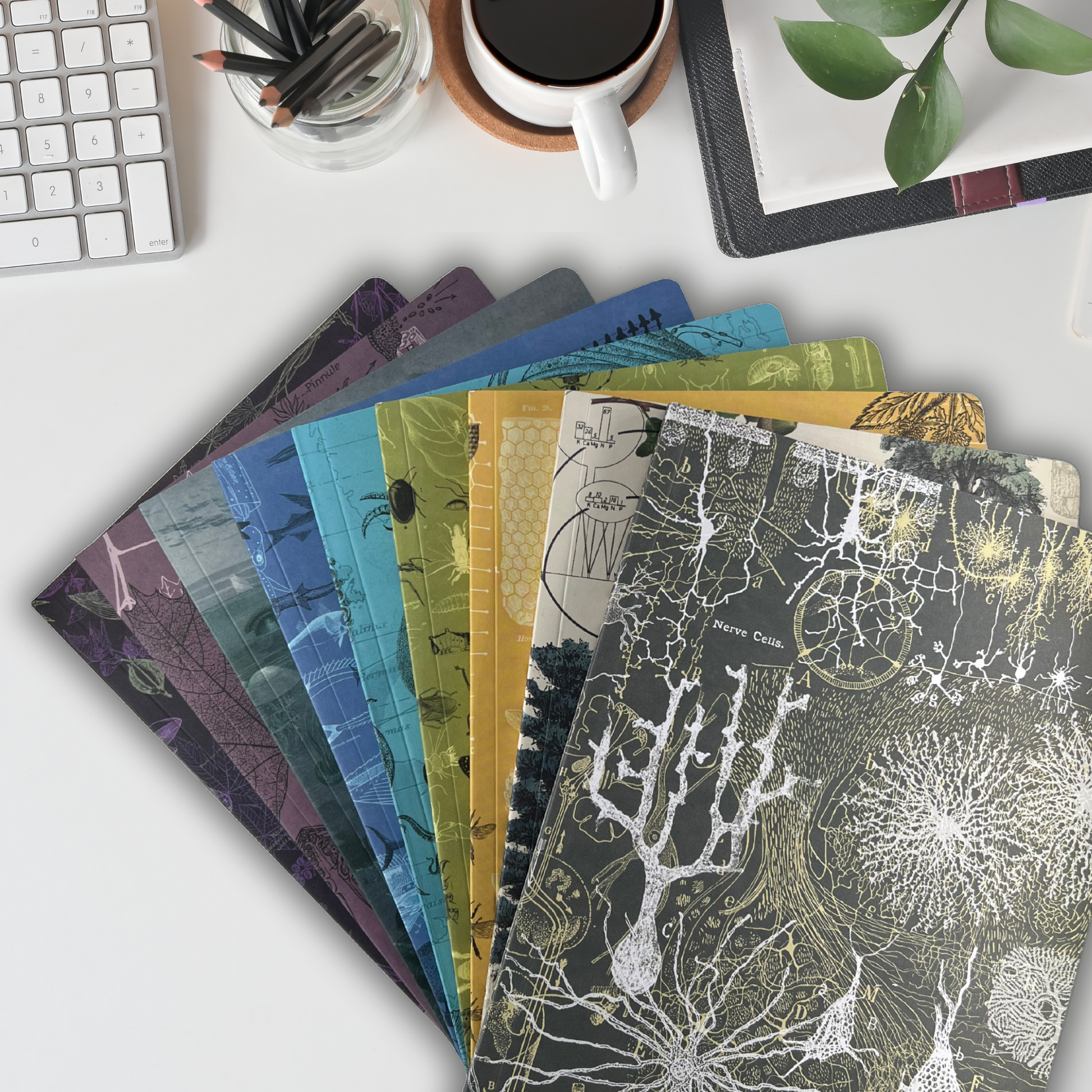 Illustrerade softcover anteckningsböcker med teman som natur, hav, bin, skog och hjärnan – hållbart producerade med återvunnet papper och sojabaserat bläck. Liggandes som en solfjäder på vitt skrivbord.