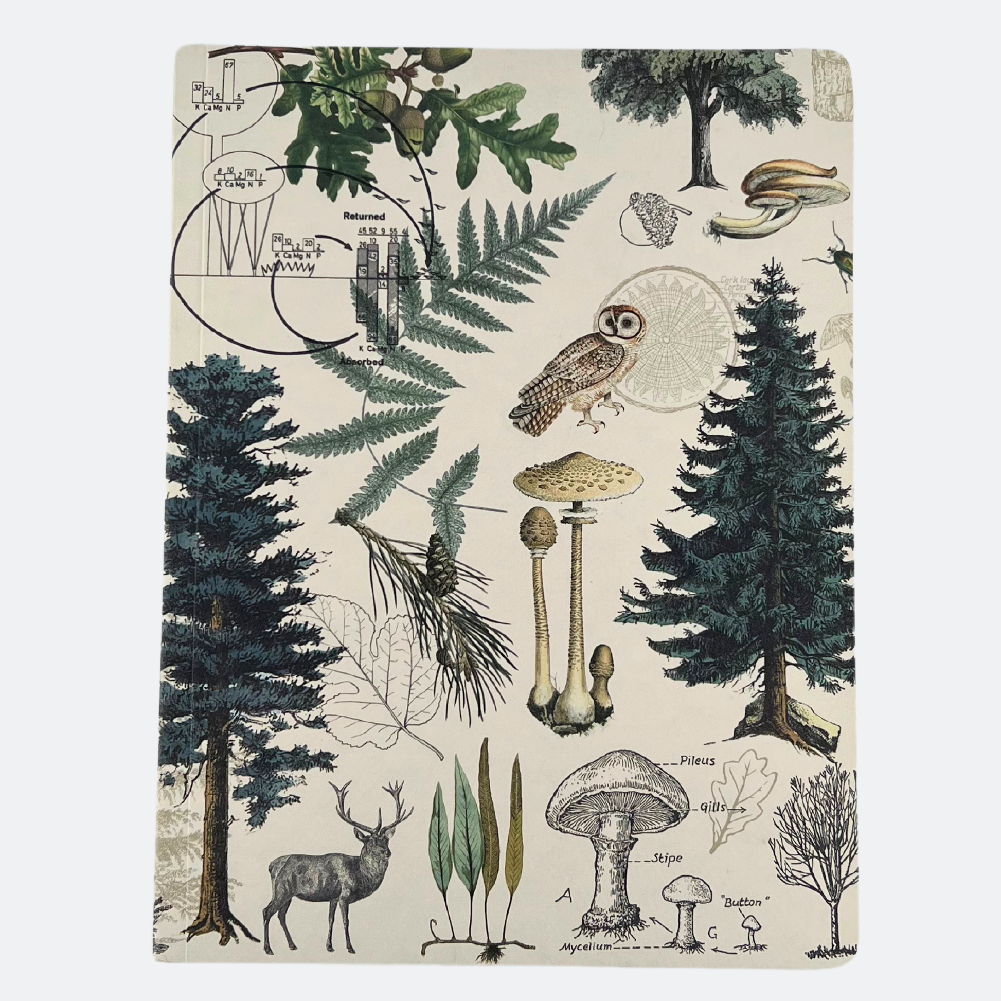 Framsida av anteckningsboken Skogsmark med naturinspirerade illustrationer av träd, svampar, en uggla och en hjort mot ljus bakgrund.