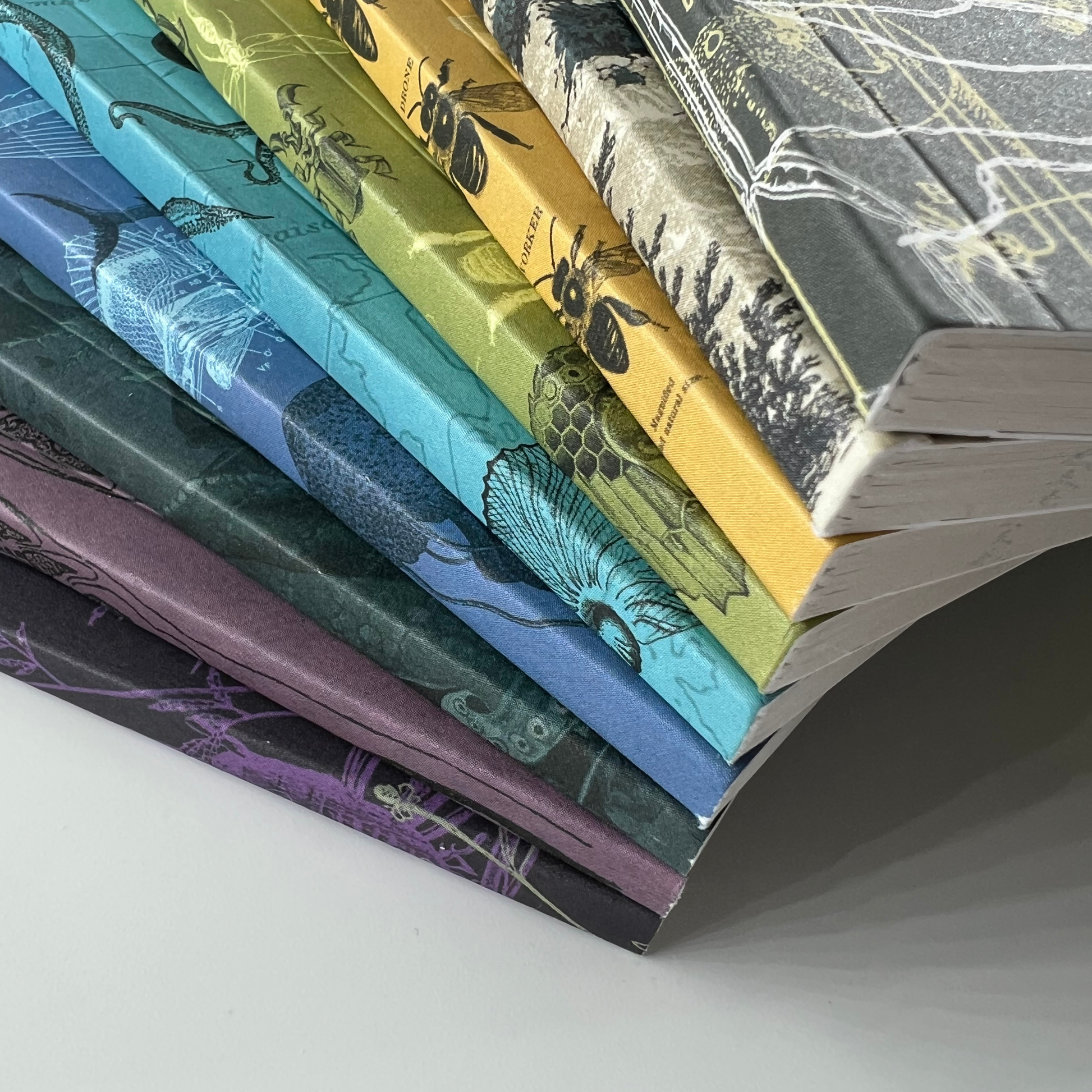 Färgglada softcover anteckningsböcker i en solfjäderformad stapel – hållbara, illustrerade omslag med teman som natur, hav, insekter och vetenskap, tryckta på återvunnet papper.